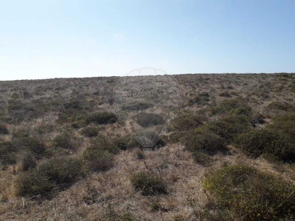 Terreno para Venda em Vila do Bispo e Raposeira Foto 5