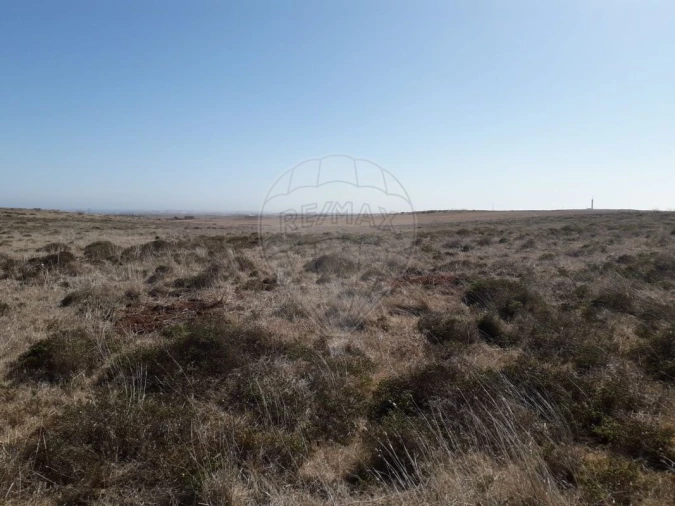 Terreno para Venda em Vila do Bispo e Raposeira Foto 4