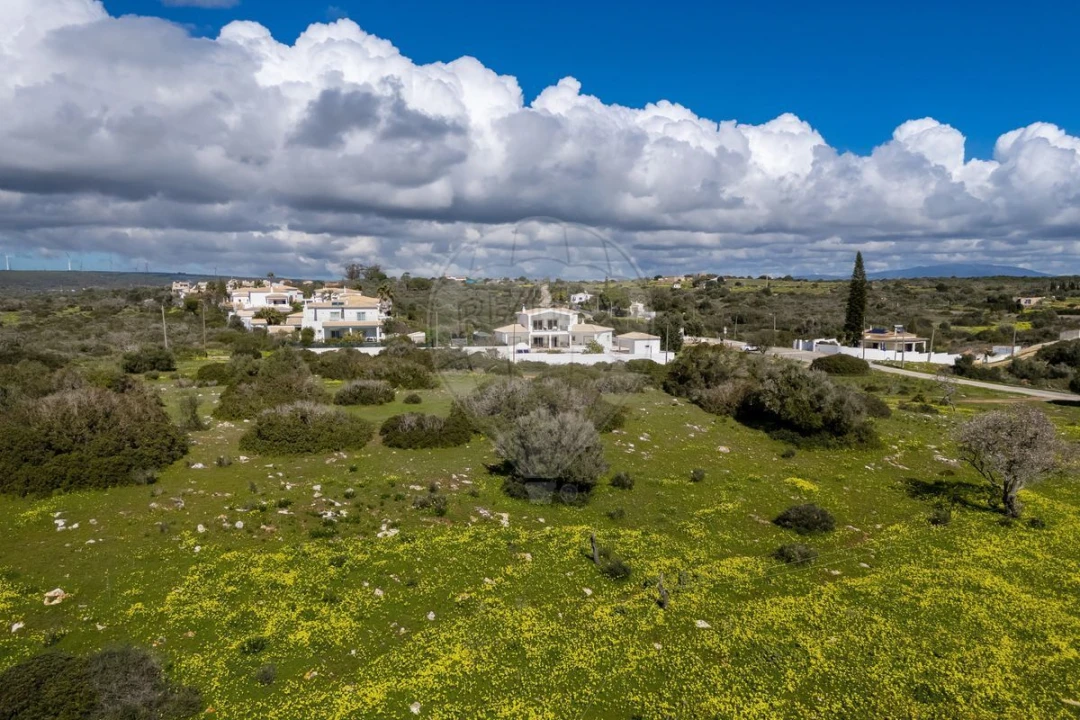 Terreno para Venda em Luz Foto 8