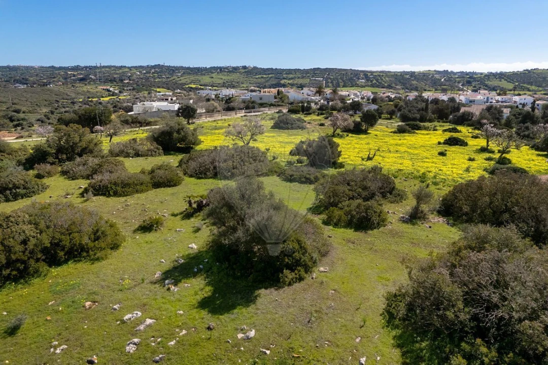 Terreno para Venda em Luz Foto 4