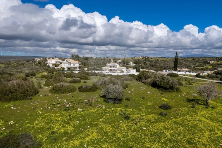 Terreno para Venda em Luz Foto 8