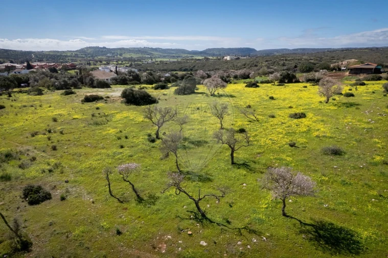 Terreno para Venda em Luz Foto 3