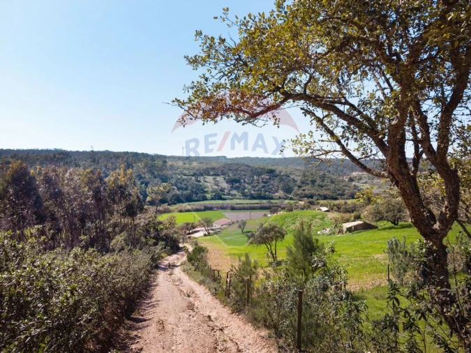 Moradia T2 para Venda em Budens Foto 14