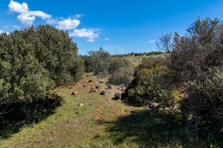 Terreno para Venda em Budens Foto 9