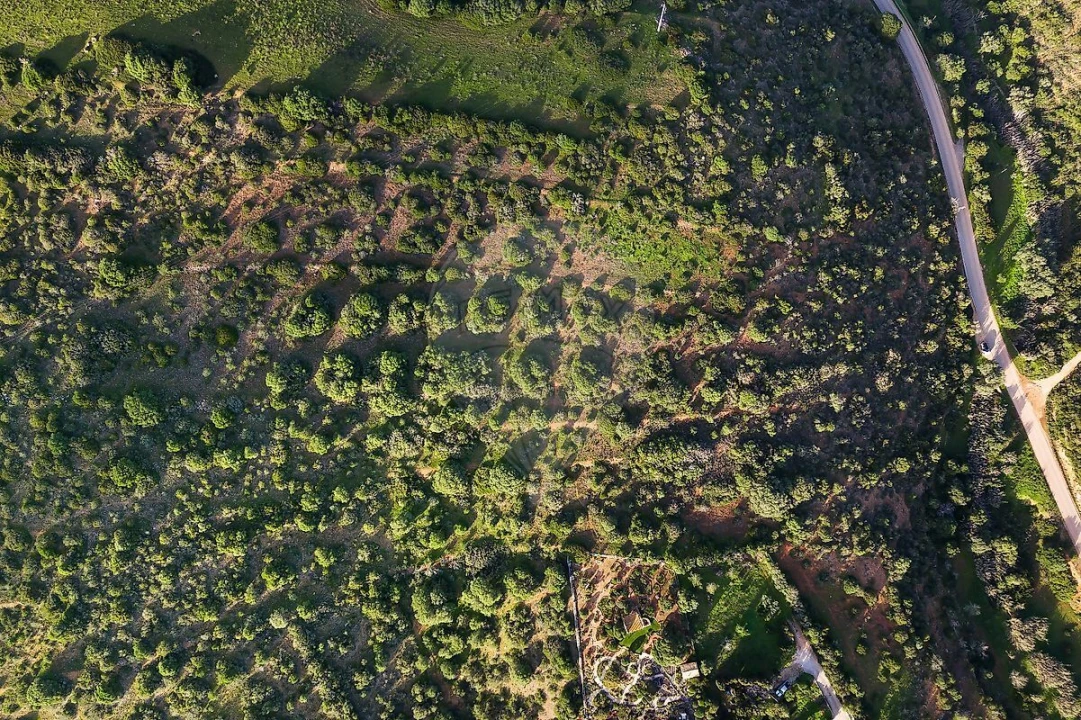 Terreno para Venda em Vila do Bispo e Raposeira Foto 5