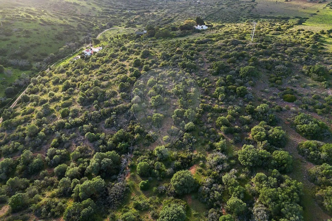 Terreno para Venda em Vila do Bispo e Raposeira Foto 8
