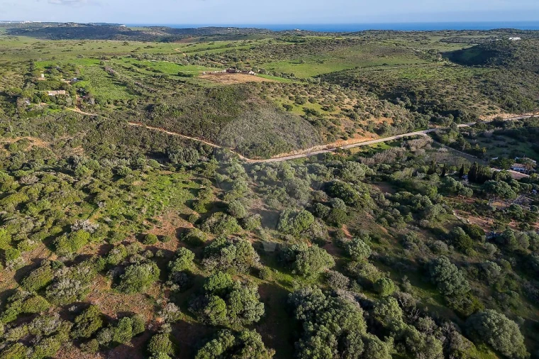 Terreno para Venda em Vila do Bispo e Raposeira Foto 6