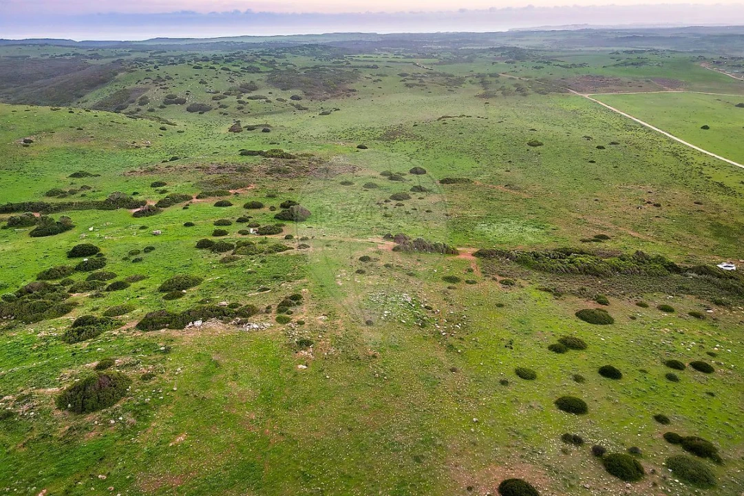 Terreno para Venda em Vila do Bispo e Raposeira Foto 4