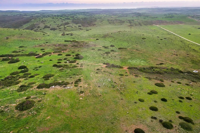 Terreno para Venda em Vila do Bispo e Raposeira Foto 4