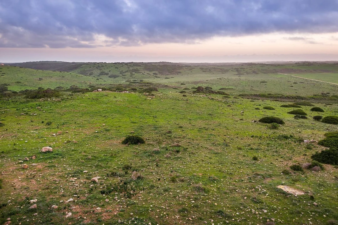 Terreno para Venda em Vila do Bispo e Raposeira Foto 5