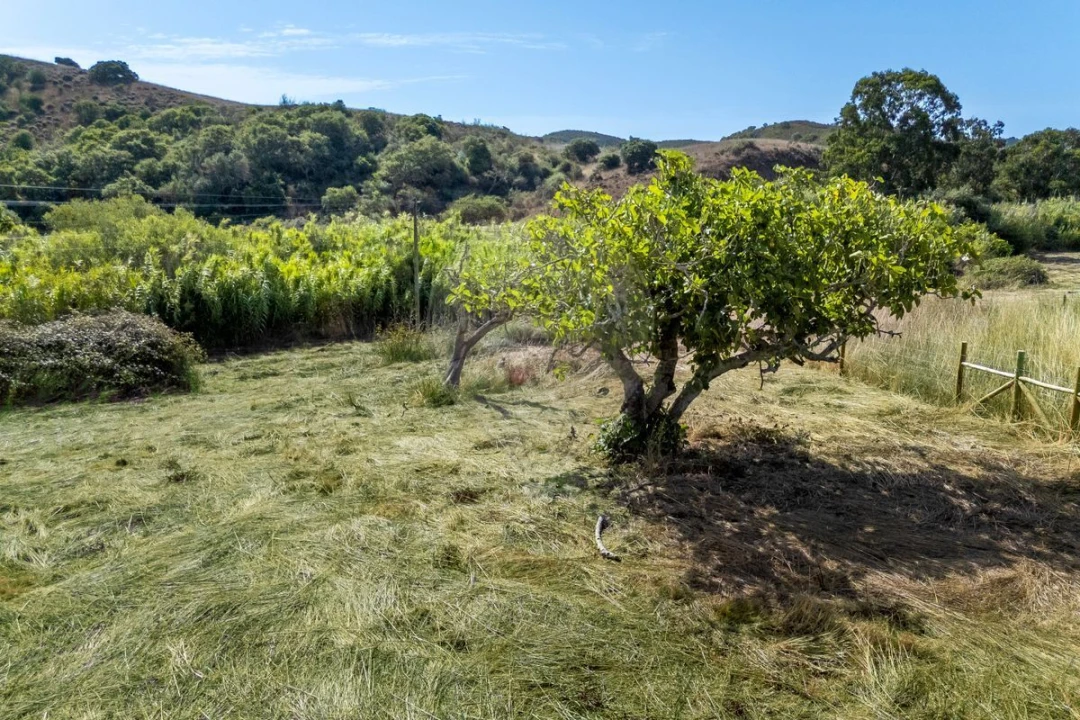 Terreno para Venda em Vila do Bispo e Raposeira Foto 8