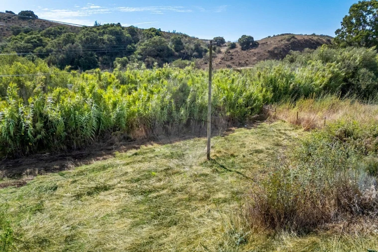 Terreno para Venda em Vila do Bispo e Raposeira Foto 9