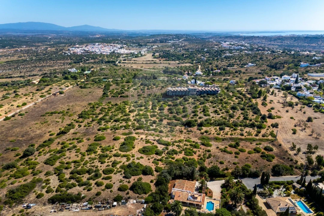 Terreno para Venda em Luz Foto 3