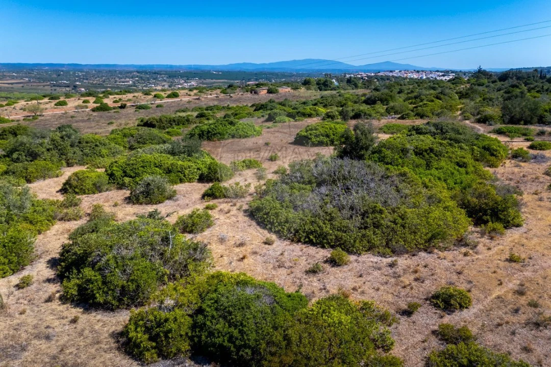 Terreno para Venda em Luz Foto 7
