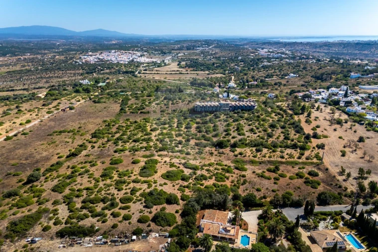Terreno para Venda em Luz Foto 3