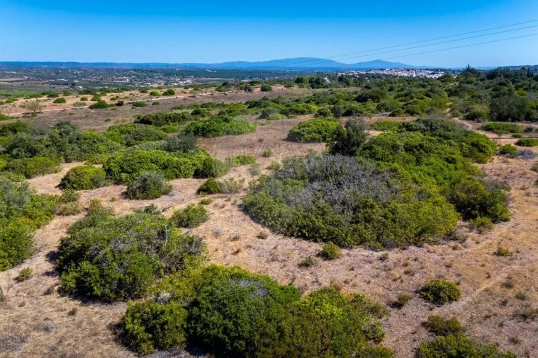 Terreno para Venda em Luz Foto 7