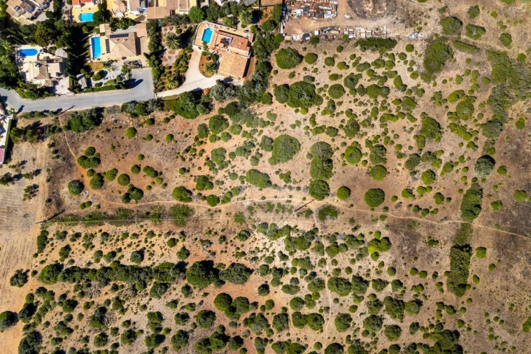 Terreno para Venda em Luz Foto 4
