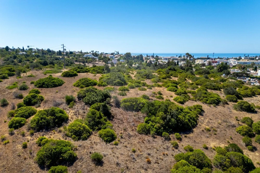 Terreno para Venda em Luz Foto 6