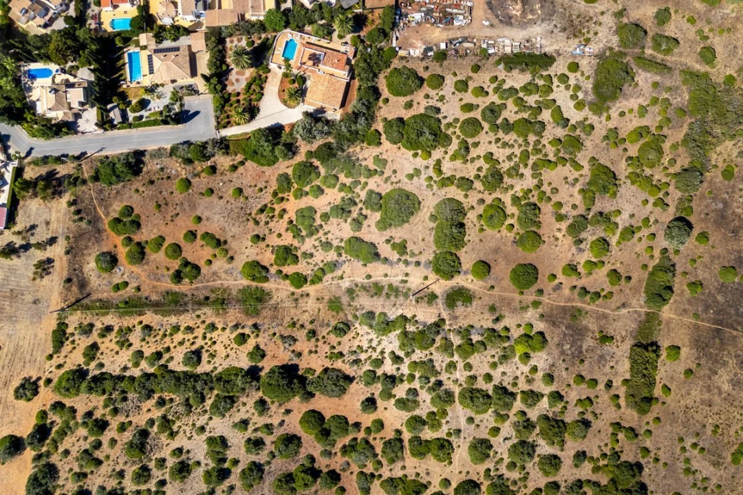 Terreno para Venda em Luz Foto 4