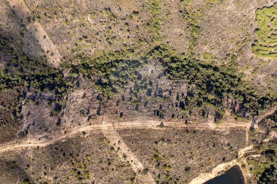 Terreno para Venda em Vila do Bispo e Raposeira Foto 2