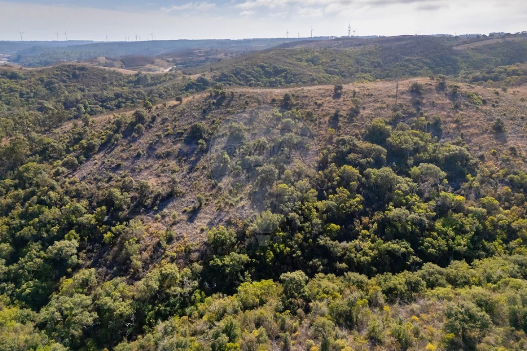 Terreno para Venda em Vila do Bispo e Raposeira Foto 6