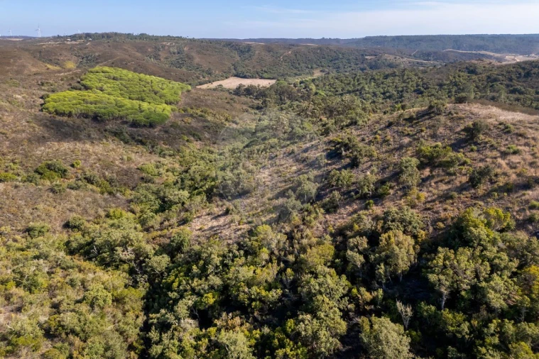 Terreno para Venda em Vila do Bispo e Raposeira