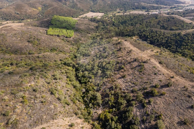 Terreno para Venda em Vila do Bispo e Raposeira Foto 4