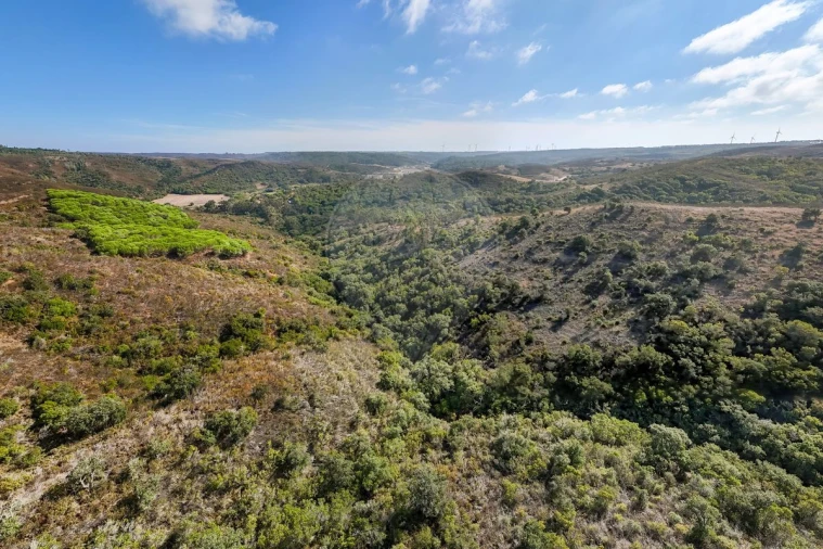 Terreno para Venda em Vila do Bispo e Raposeira Foto 10
