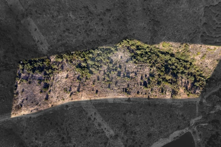 Terreno para Venda em Vila do Bispo e Raposeira Foto 3
