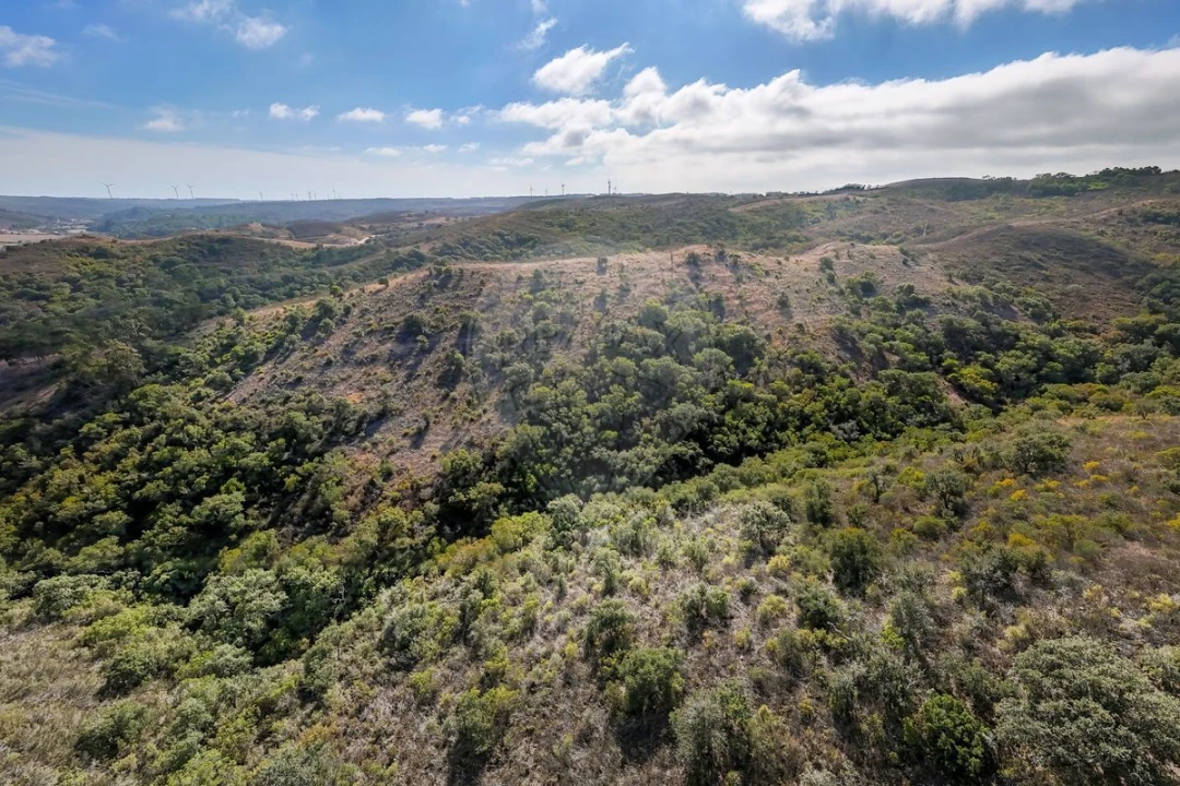 Terreno para Venda em Vila do Bispo e Raposeira Foto 9