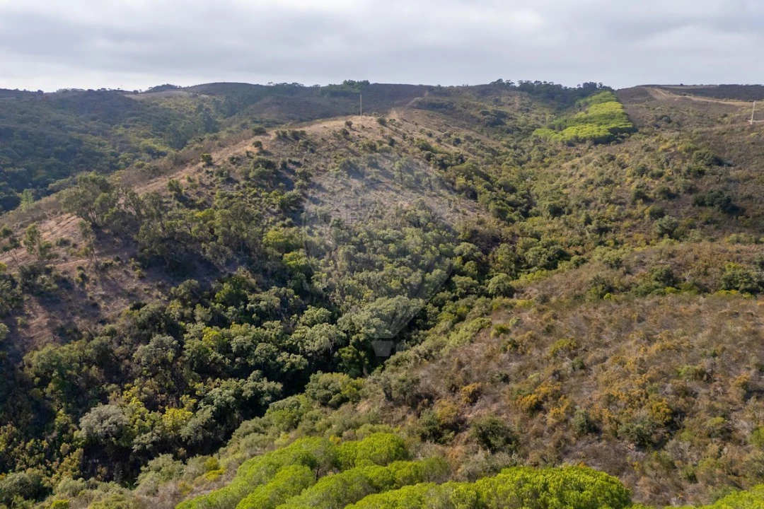 Terreno para Venda em Vila do Bispo e Raposeira Foto 8