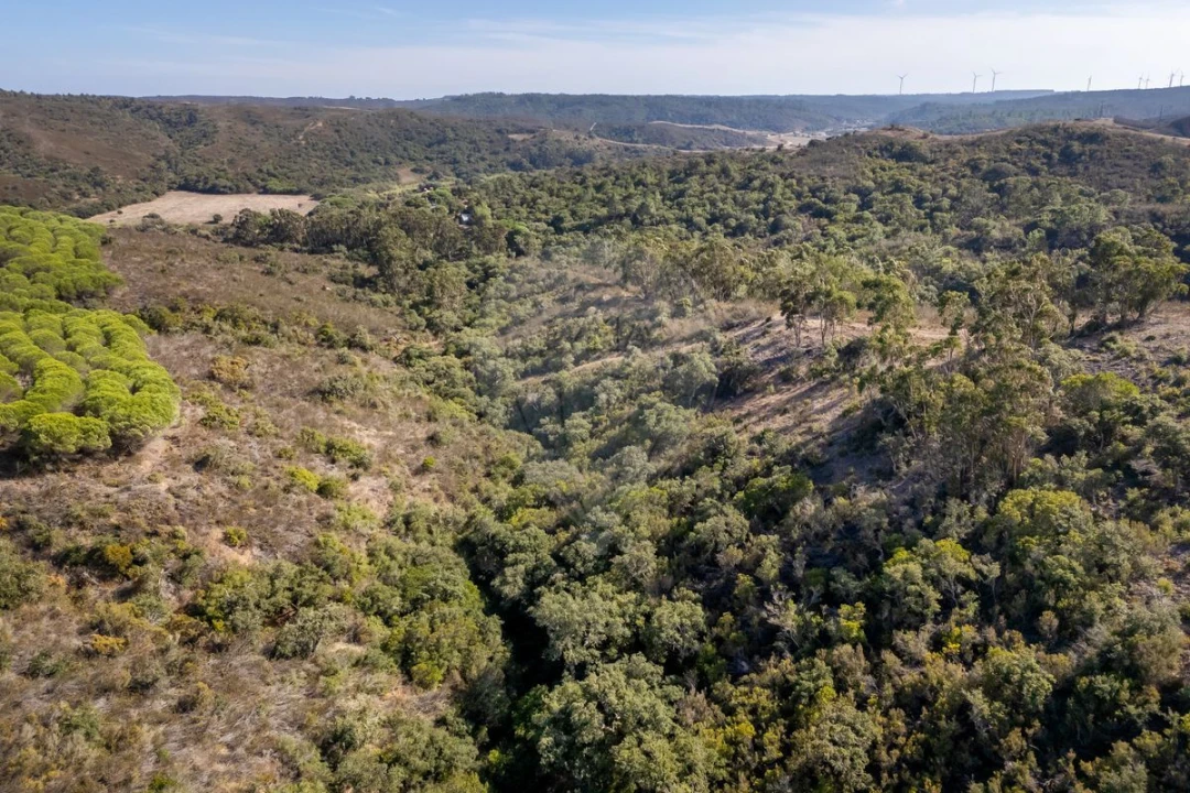 Terreno para Venda em Vila do Bispo e Raposeira Foto 5