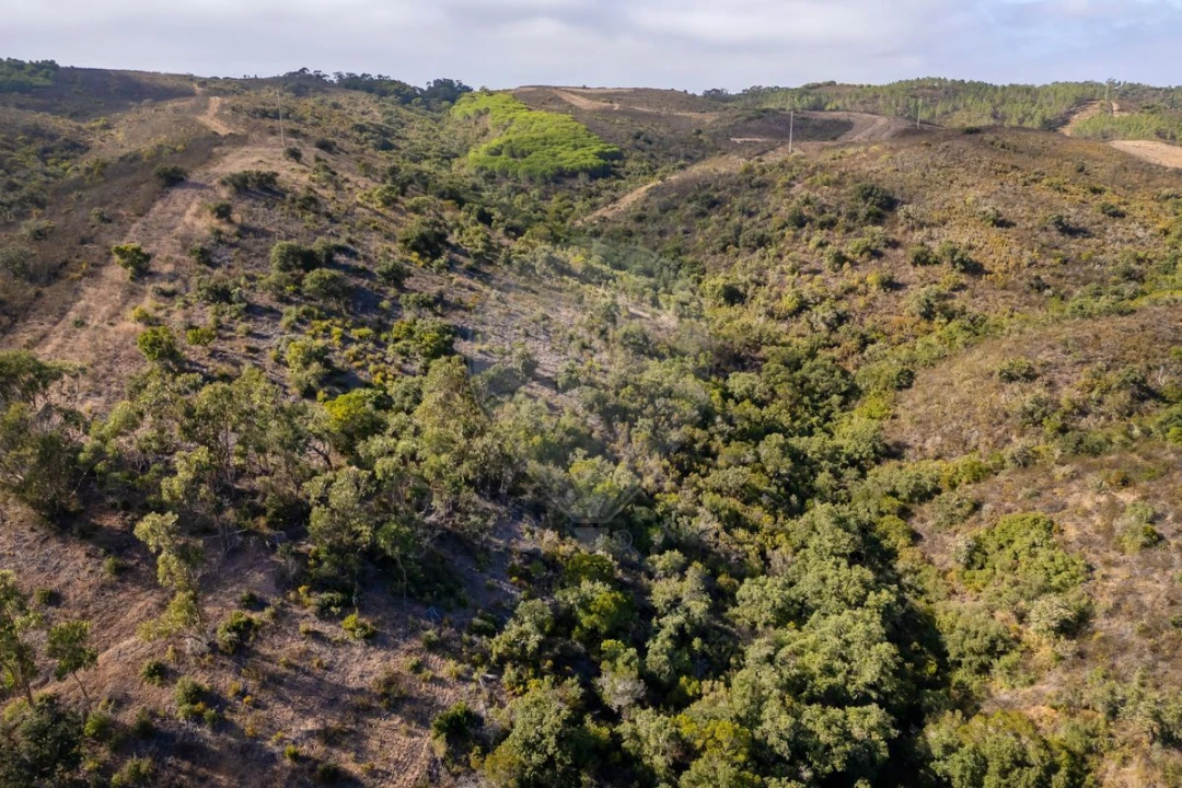 Terreno para Venda em Vila do Bispo e Raposeira Foto 7