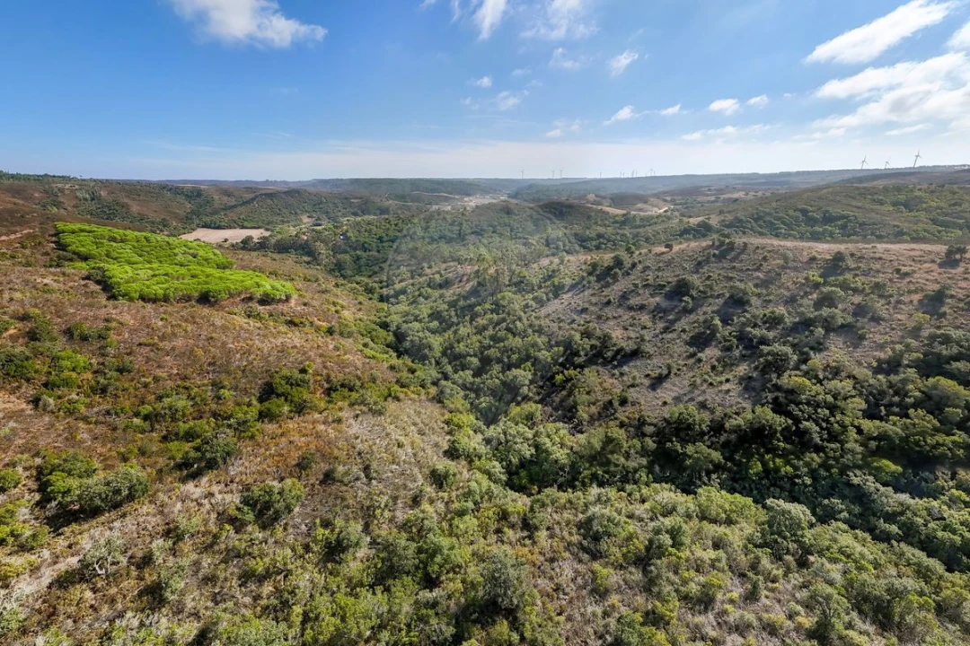 Terreno para Venda em Vila do Bispo e Raposeira Foto 10
