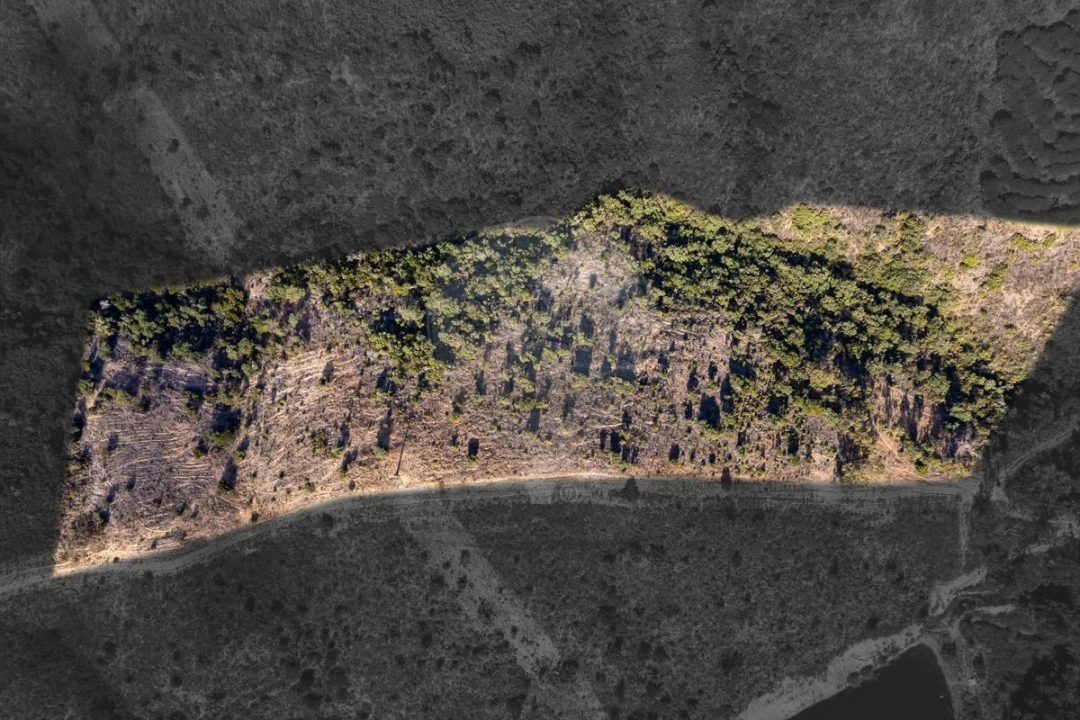 Terreno para Venda em Vila do Bispo e Raposeira Foto 3