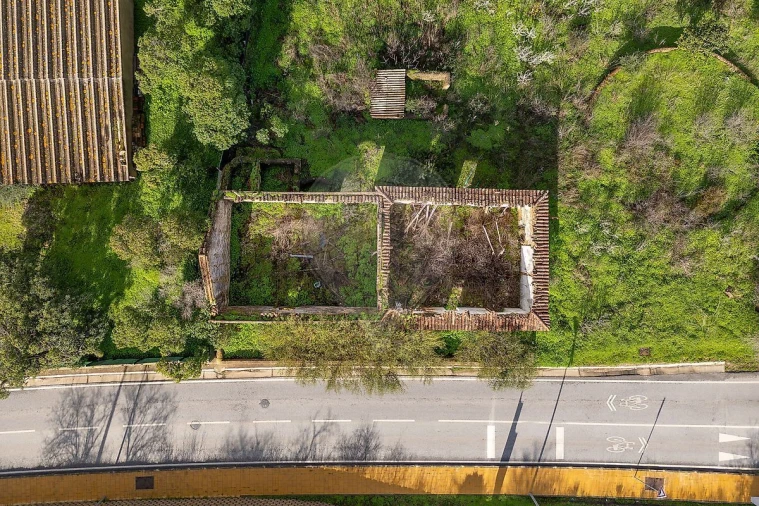 Terreno para Venda em Luz Foto 10