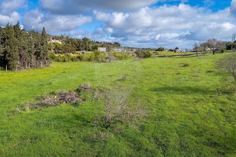 Terreno para Venda em Luz Foto 8