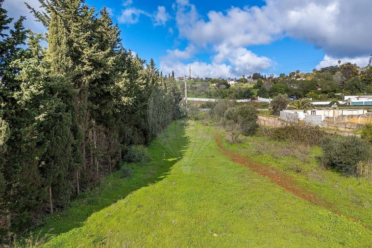 Terreno para Venda em Luz Foto 9