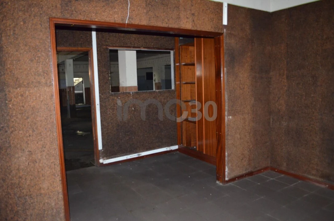 Armazém para Venda em Campo e Sobrado Foto 4