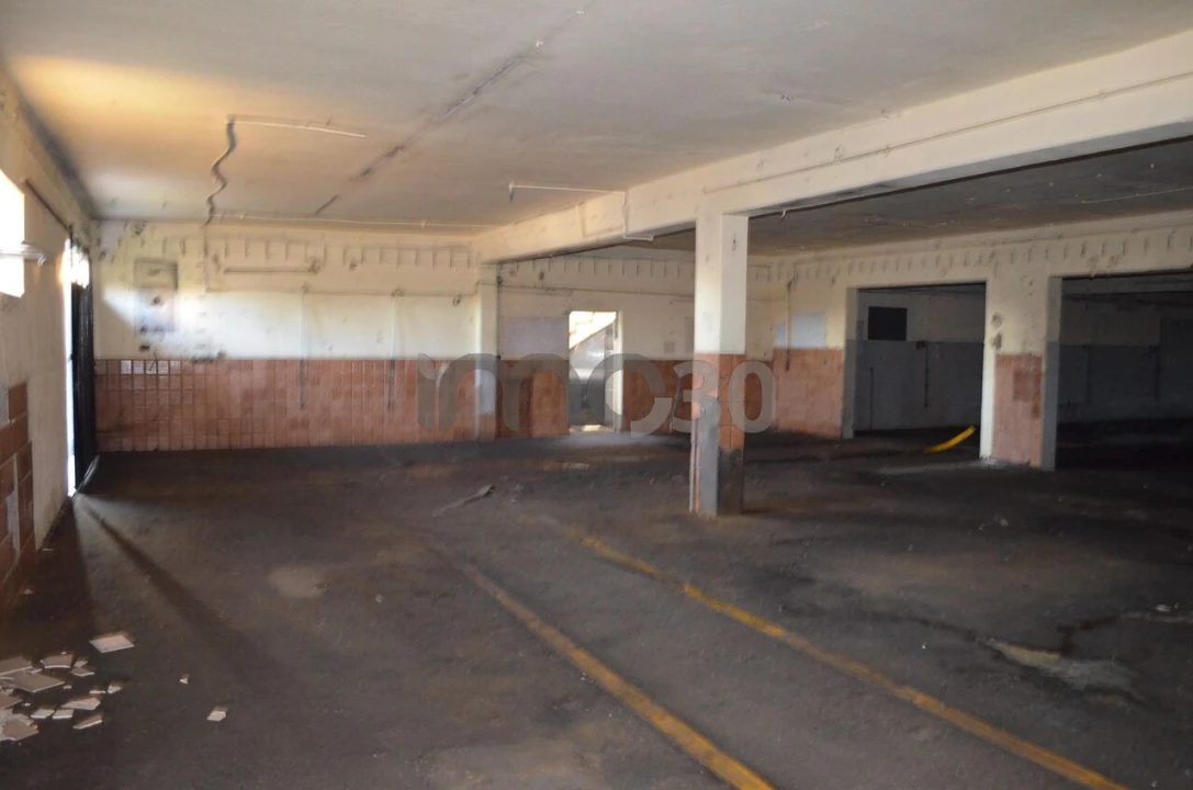 Armazém para Venda em Campo e Sobrado Foto 6