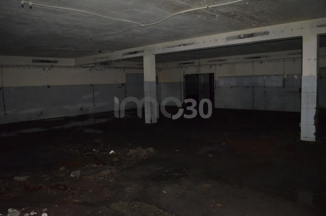 Armazém para Venda em Campo e Sobrado Foto 5