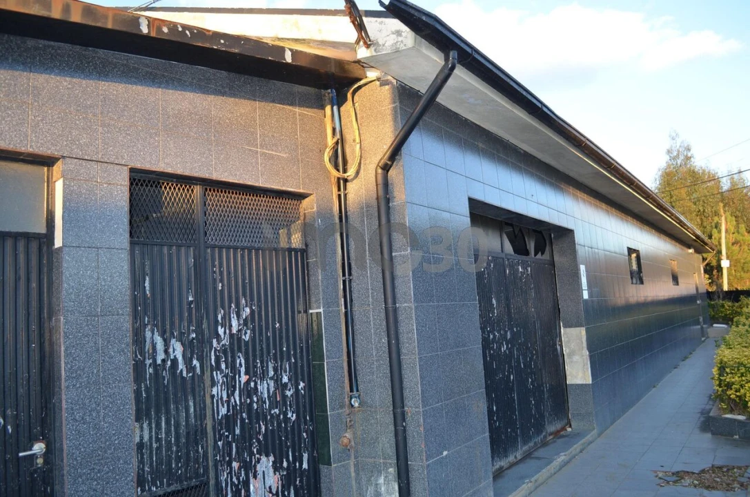 Armazém para Venda em Campo e Sobrado Foto 2