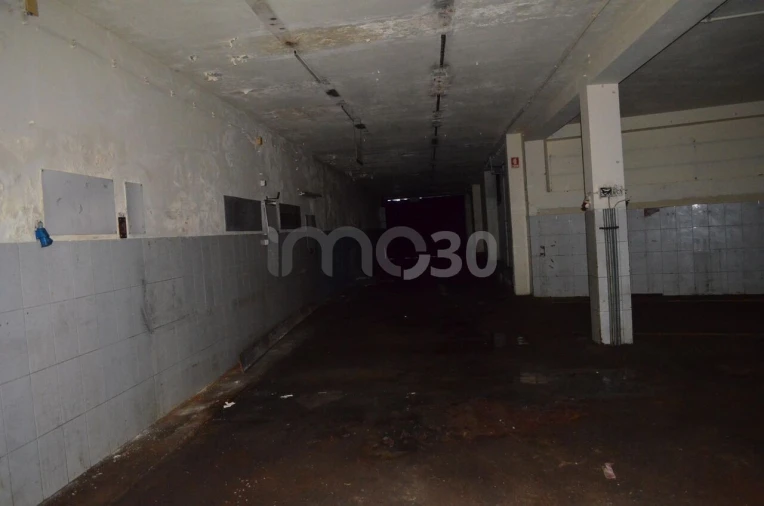 Armazém para Venda em Campo e Sobrado Foto 7