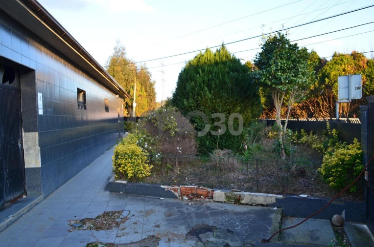 Armazém para Venda em Campo e Sobrado Foto 1