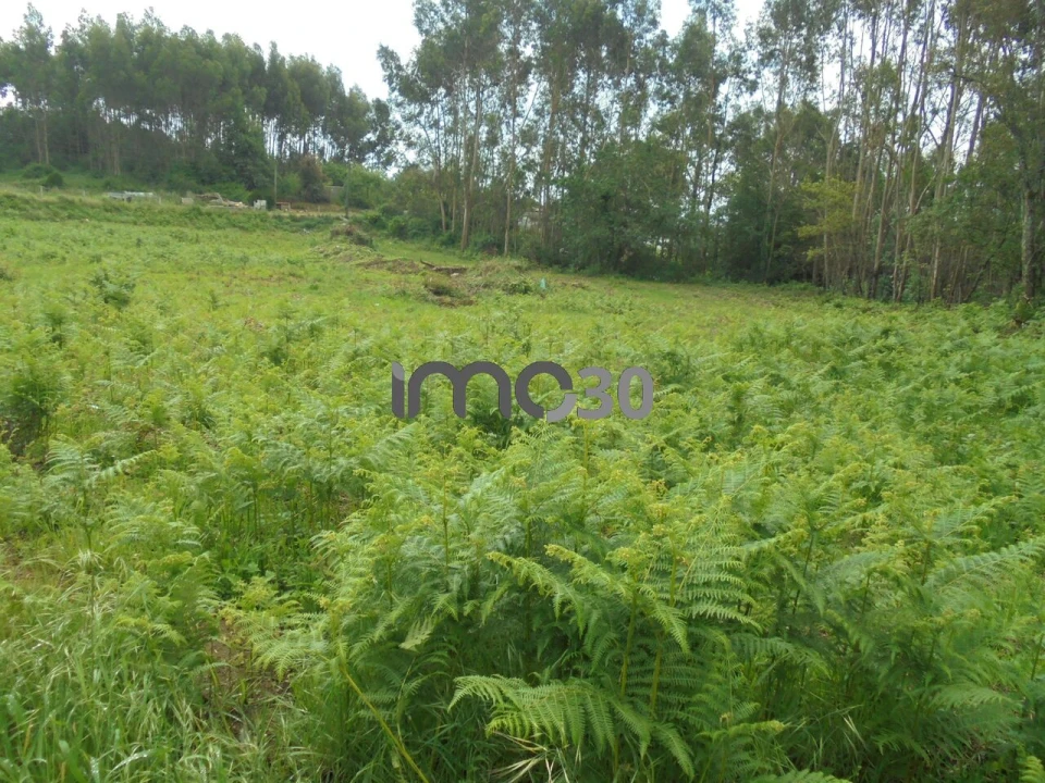 Terreno para Venda em Baguim do Monte (Rio Tinto) Foto 4