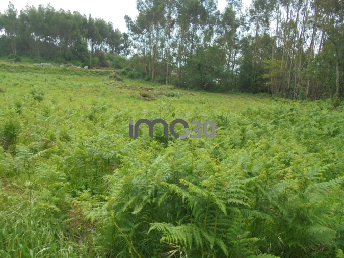 Terreno para Venda em Baguim do Monte (Rio Tinto) Foto 3