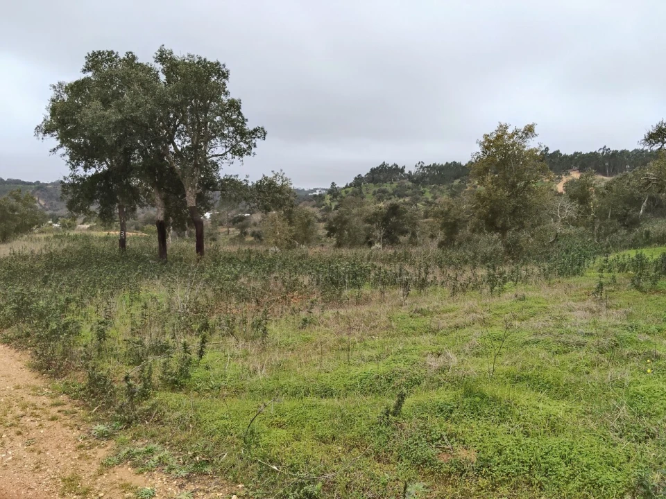 Terreno para Venda em Boavista dos Pinheiros Foto 1