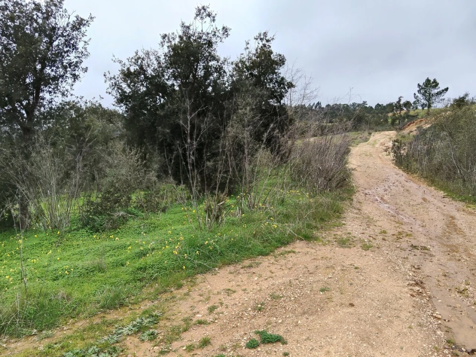Terreno para Venda em Boavista dos Pinheiros Foto 6