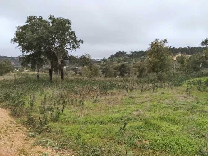 Terreno para Venda em Boavista dos Pinheiros Foto 1