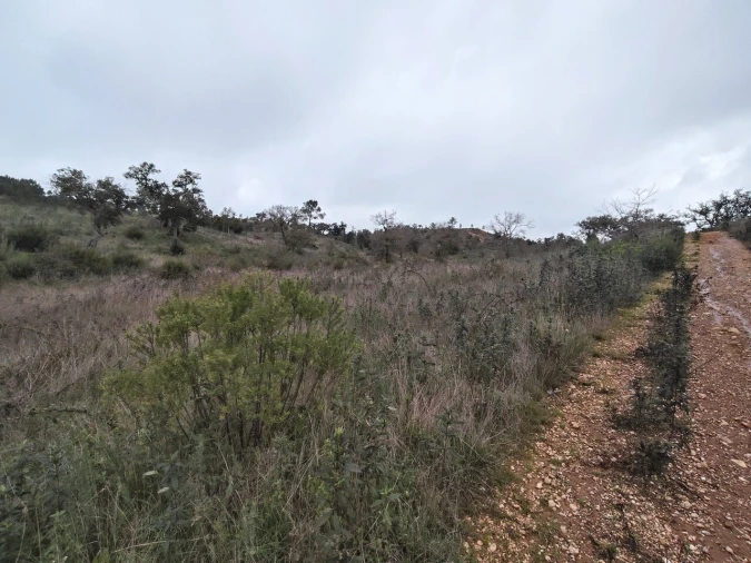 Terreno para Venda em Boavista dos Pinheiros Foto 2